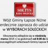 Wybory sołeckie